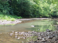Holly River